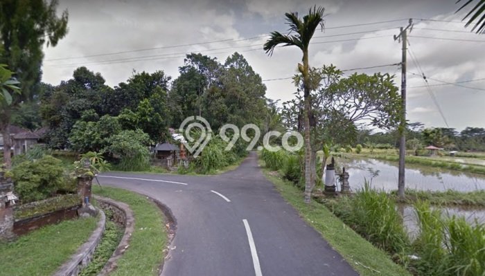Tanah Dijual Lokasi Mengwi, Badung Luas 3925m2 Legalitas Aman Tanah Dijual Lokasi Mengwi, Badung Luas 3925m2 Legalitas Aman