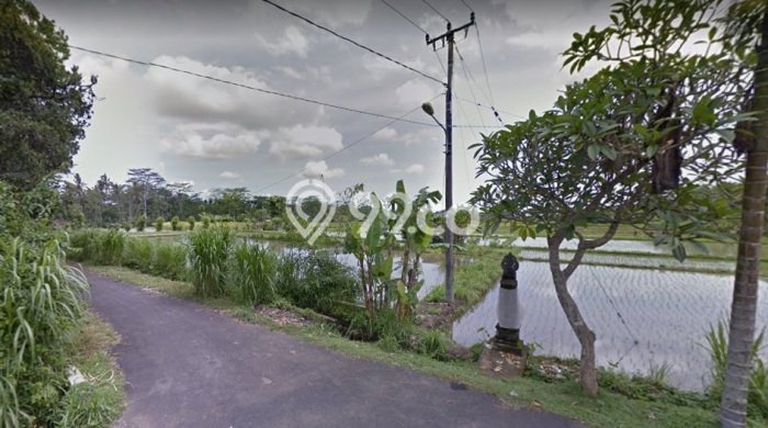 Tanah Dijual Lokasi Mengwi, Badung Luas 3925m2 Legalitas Aman Tanah Dijual Lokasi Mengwi, Badung Luas 3925m2 Legalitas Aman