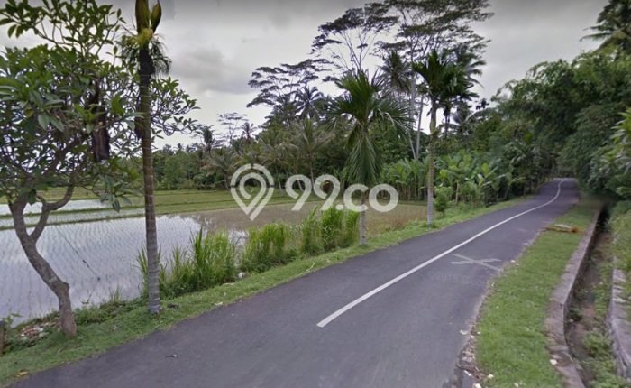 Tanah Dijual Lokasi Mengwi, Badung Luas 3925m2 Legalitas Aman Tanah Dijual Lokasi Mengwi, Badung Luas 3925m2 Legalitas Aman