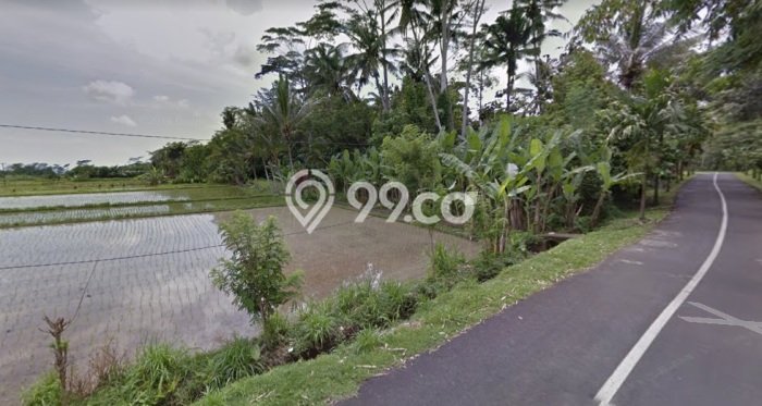 Tanah Dijual Lokasi Mengwi, Badung Luas 3925m2 Legalitas Aman Tanah Dijual Lokasi Mengwi, Badung Luas 3925m2 Legalitas Aman
