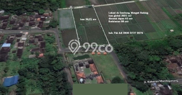 Tanah Dijual Lokasi Mengwi, Badung Luas 3925m2 Legalitas Aman Tanah Dijual Lokasi Mengwi, Badung Luas 3925m2 Legalitas Aman