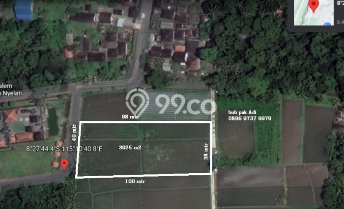 Tanah Dijual Lokasi Mengwi, Badung Luas 3925m2 Legalitas Aman Tanah Dijual Lokasi Mengwi, Badung Luas 3925m2 Legalitas Aman