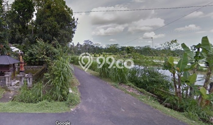 Tanah Dijual Lokasi Mengwi, Badung Luas 3925m2 Legalitas Aman Tanah Dijual Lokasi Mengwi, Badung Luas 3925m2 Legalitas Aman