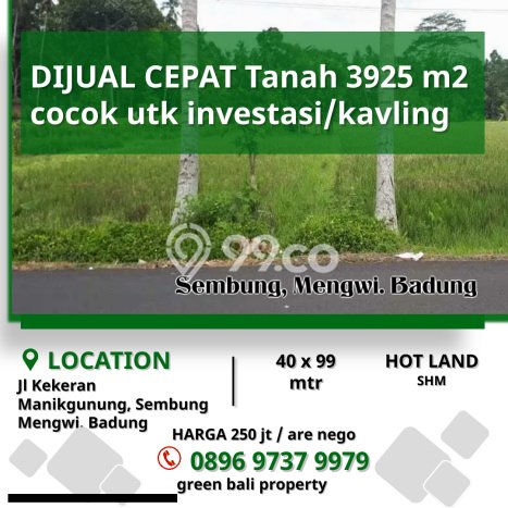 Tanah Dijual Lokasi Mengwi, Badung Luas 3925m2 Legalitas Aman Tanah Dijual Lokasi Mengwi, Badung Luas 3925m2 Legalitas Aman