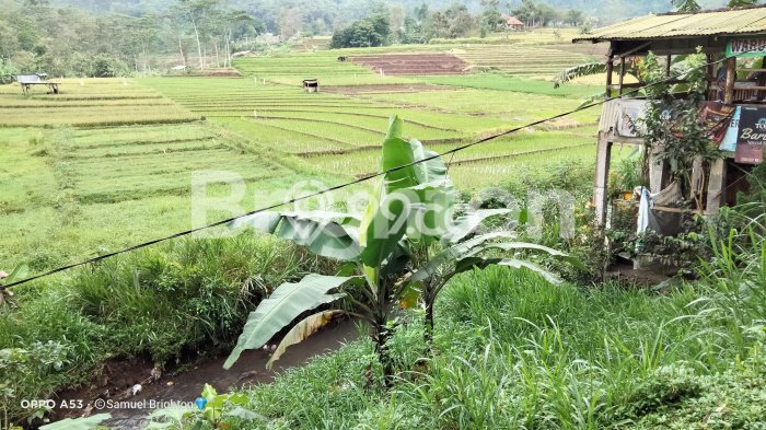 Tanah Komersial Dijual di Pandaan Pasuruan 40000m2 Tanah Komersial Dijual di Pandaan Pasuruan 40000m2