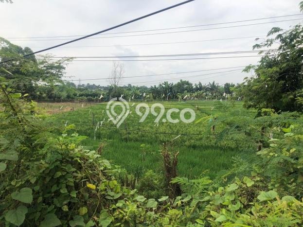 Lahan Investasi Lokasi Karawang Barat Karawang SHM Lahan Investasi Lokasi Karawang Barat Karawang SHM