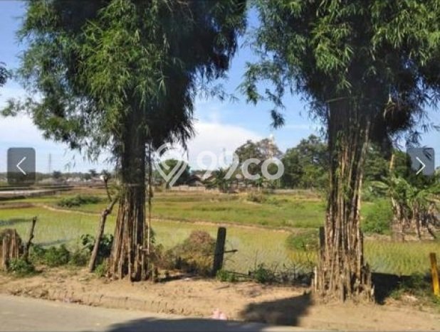 Tanah Dijual Lokasi Kibin, Serang Luas 96000m2 Legalitas Aman Tanah Dijual Lokasi Kibin, Serang Luas 96000m2 Legalitas Aman