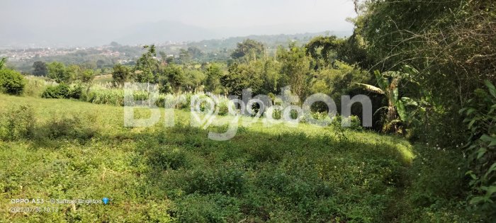 PROSPEKTIF! Tanah Kawasan Bumiaji, Luas 5000m2m², Area Berkembang PROSPEKTIF! Tanah Kawasan Bumiaji, Luas 5000m2m², Area Berkembang