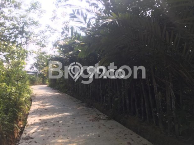 Tanah untuk Dijual Lokasi Balikpapan Utara, Balikpapan Luas 20000m2 SHM Tanah untuk Dijual Lokasi Balikpapan Utara, Balikpapan Luas 20000m2 SHM