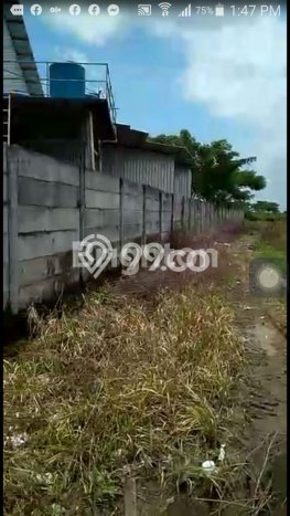 Lahan untuk Dijual di Widang Tuban Luas 40000m2 Lahan untuk Dijual di Widang Tuban Luas 40000m2