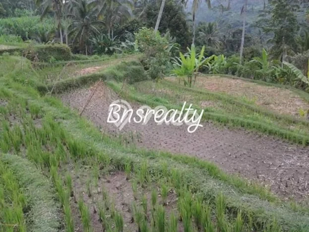 Tanah Kavling Dijual di Gianyar dengan Spesifikasi 15400m2 Tanah Kavling Dijual di Gianyar dengan Spesifikasi 15400m2