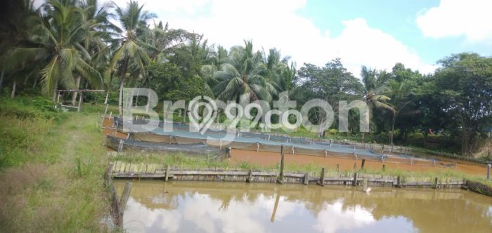 Kavling Tanah untuk Dijual di Kariangau, Balikpapan, Luas 13764m2 Kavling Tanah untuk Dijual di Kariangau, Balikpapan, Luas 13764m2