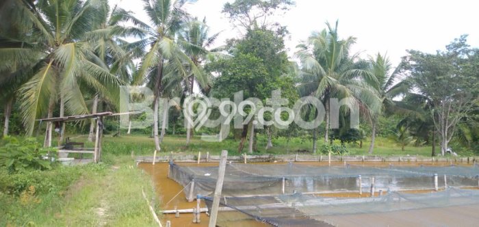 Kavling Tanah untuk Dijual di Kariangau, Balikpapan, Luas 13764m2 Kavling Tanah untuk Dijual di Kariangau, Balikpapan, Luas 13764m2