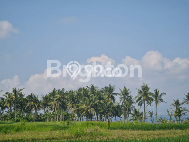 Tanah Dijual Lokasi Strategis di Badung dengan Luas 590m2 Tanah Dijual Lokasi Strategis di Badung dengan Luas 590m2