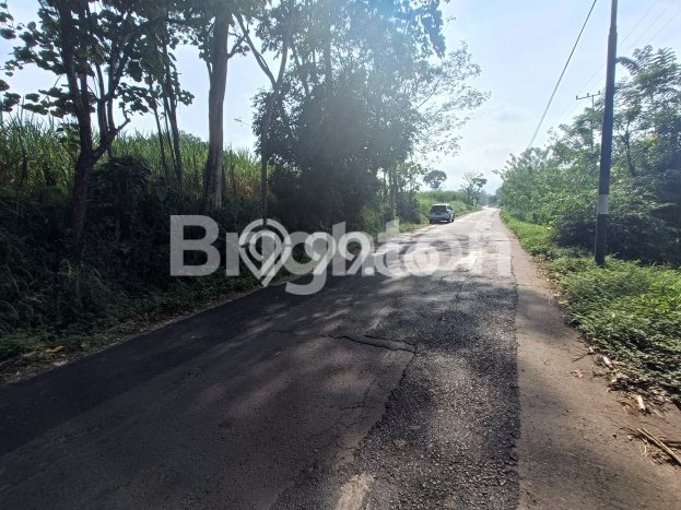 HARGA TERBAIK! Tanah Kawasan Singosari, Luas 70000m2m², Akses Strategis, Cocok untuk Investasi HARGA TERBAIK! Tanah Kawasan Singosari, Luas 70000m2m², Akses Strategis, Cocok untuk Investasi