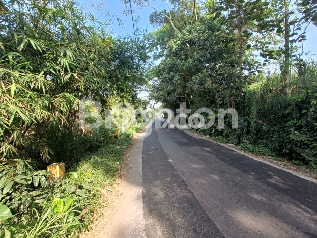 HARGA TERBAIK! Tanah Kawasan Singosari, Luas 70000m2m², Akses Strategis, Cocok untuk Investasi HARGA TERBAIK! Tanah Kawasan Singosari, Luas 70000m2m², Akses Strategis, Cocok untuk Investasi