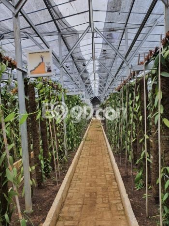 Kavling Tanah Dijual di Cigombong Bogor Spesifikasi 22000m2 Kavling Tanah Dijual di Cigombong Bogor Spesifikasi 22000m2