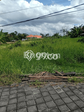 Tanah Siap Bangun Dijual di Badung Punya Luas 2200m2 Tanah Siap Bangun Dijual di Badung Punya Luas 2200m2