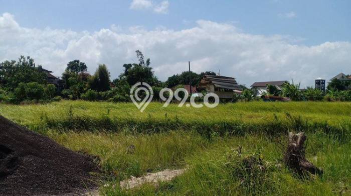 Kavling Tanah untuk Dijual di Umalas, Badung, Luas 517m2 Kavling Tanah untuk Dijual di Umalas, Badung, Luas 517m2
