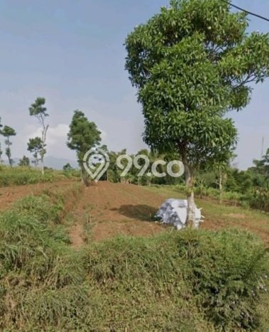 Tanah Dijual Lokasi Sumedang Selatan, Sumedang Luas 27950m2 Legalitas Aman Tanah Dijual Lokasi Sumedang Selatan, Sumedang Luas 27950m2 Legalitas Aman