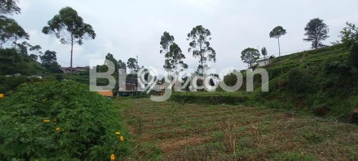 Lahan Kosong Dijual di Pangalengan, Bandung, Luas 12620m2 Area Strategis Lahan Kosong Dijual di Pangalengan, Bandung, Luas 12620m2 Area Strategis
