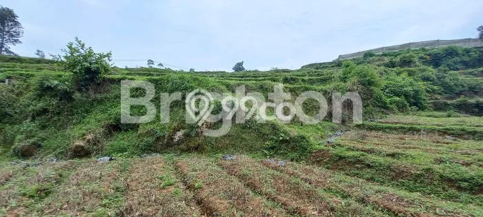 Lahan Kosong Dijual di Pangalengan, Bandung, Luas 12620m2 Area Strategis Lahan Kosong Dijual di Pangalengan, Bandung, Luas 12620m2 Area Strategis