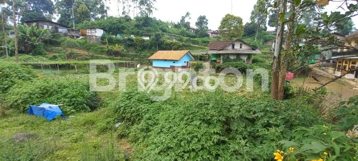 Lahan Kosong Dijual di Pangalengan, Bandung, Luas 12620m2 Area Strategis Lahan Kosong Dijual di Pangalengan, Bandung, Luas 12620m2 Area Strategis