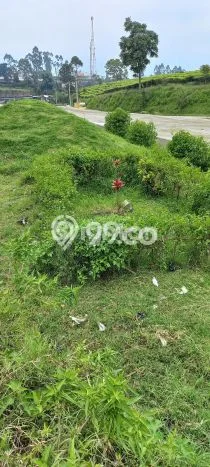 Lahan Kosong Dijual di Pangalengan, Bandung, Luas 12620m2 Area Strategis Lahan Kosong Dijual di Pangalengan, Bandung, Luas 12620m2 Area Strategis