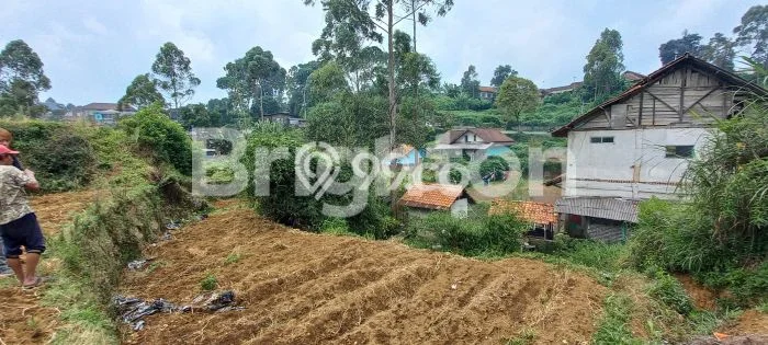 Lahan Kosong Dijual di Pangalengan, Bandung, Luas 12620m2 Area Strategis Lahan Kosong Dijual di Pangalengan, Bandung, Luas 12620m2 Area Strategis