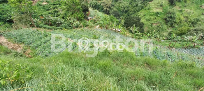Tanah Dijual Area Strategis di Lembang Bandung 1000m2 Tanah Dijual Area Strategis di Lembang Bandung 1000m2