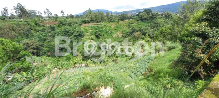 Tanah Dijual Area Strategis di Lembang Bandung 1000m2 Tanah Dijual Area Strategis di Lembang Bandung 1000m2