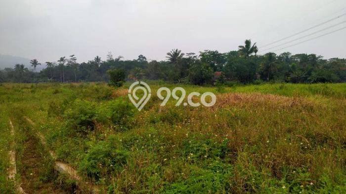 Tanah Dijual di Bogor Seluas 65000m2 Strategis Tanah Dijual di Bogor Seluas 65000m2 Strategis