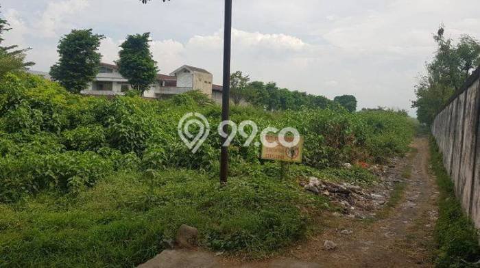 Kavling Tanah Dijual di Kraton, Pasuruan, Luas 8063m2 Area Strategis Kavling Tanah Dijual di Kraton, Pasuruan, Luas 8063m2 Area Strategis