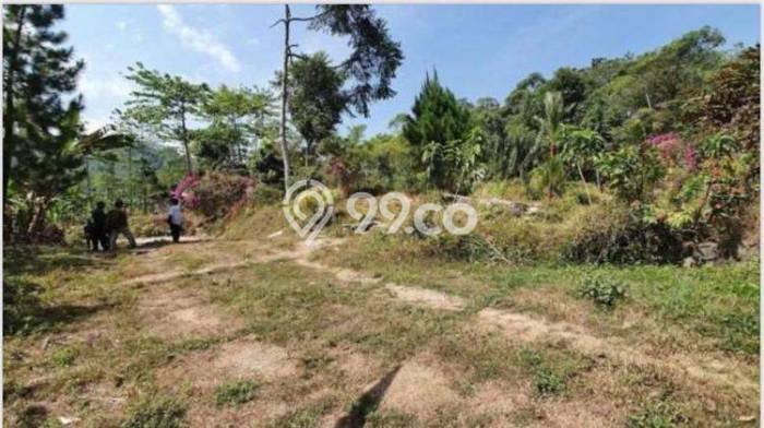 Kavling Tanah di Ciawi Dijual Luas 11875m2 Legalitas SHM Kavling Tanah di Ciawi Dijual Luas 11875m2 Legalitas SHM