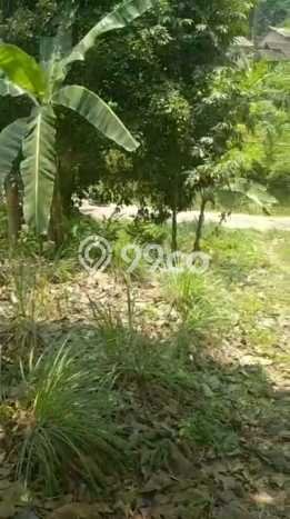 Dijual Tanah di Panjang, Luas 21813m2m², Lokasi Strategis, Kontur Rata Dijual Tanah di Panjang, Luas 21813m2m², Lokasi Strategis, Kontur Rata