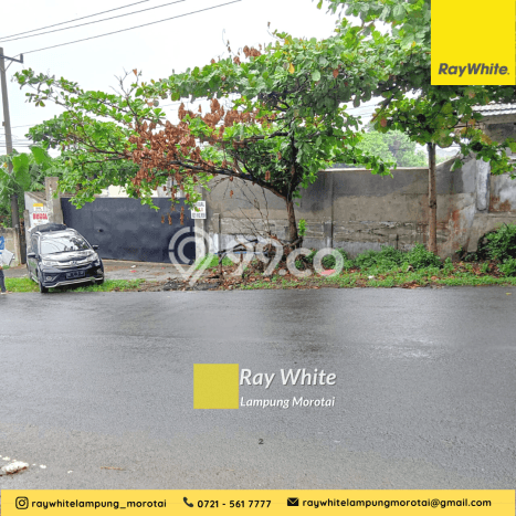 Tanah Area Potensial di Teluk Betung Utara, Luas 3745m2m², Kawasan Asri, Akses Teluk Betung Utara, Bandar Lampung, Bandar Lampung Tanah Area Potensial di Teluk Betung Utara, Luas 3745m2m², Kawasan Asri, Akses Teluk Betung Utara, Bandar Lampung, Bandar Lampung