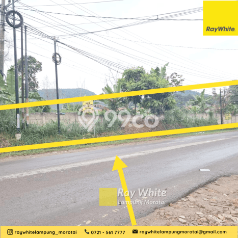Tanah Lokasi Strategis Kawasan Tanjung Karang Timur, Luas 5874m2m², Dekat ke Fasilitas Umum Tanah Lokasi Strategis Kawasan Tanjung Karang Timur, Luas 5874m2m², Dekat ke Fasilitas Umum