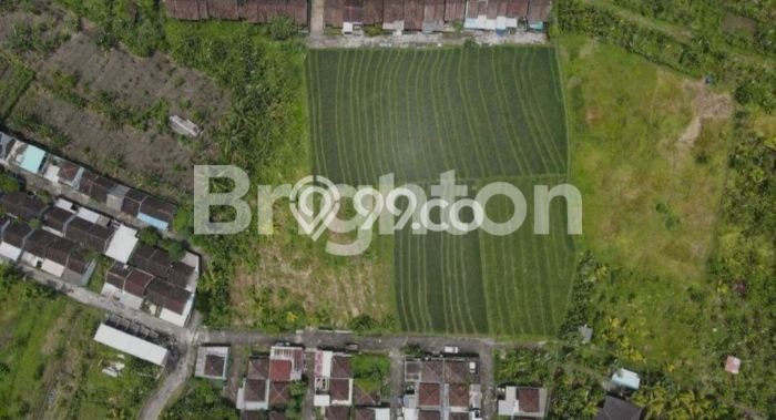 Tanah di Kerambitan, Tabanan Luas 940m2 Dijual Segera Tanah di Kerambitan, Tabanan Luas 940m2 Dijual Segera