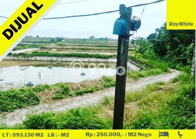 Tanah Kawasan Padang Cermin, Luas 593130m2m², Jalur Mudah, Area Prospektif Tanah Kawasan Padang Cermin, Luas 593130m2m², Jalur Mudah, Area Prospektif