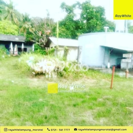 Tanah Kawasan Padang Cermin, Luas 593130m2m², Jalur Mudah, Area Prospektif Tanah Kawasan Padang Cermin, Luas 593130m2m², Jalur Mudah, Area Prospektif
