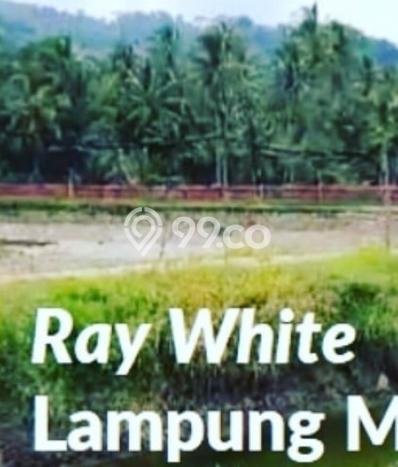 Tanah di Padang Cermin, Luas 100000m2m², Area Strategis, Akses Padang Cermin, Pesawaran, Pesawaran Tanah di Padang Cermin, Luas 100000m2m², Area Strategis, Akses Padang Cermin, Pesawaran, Pesawaran