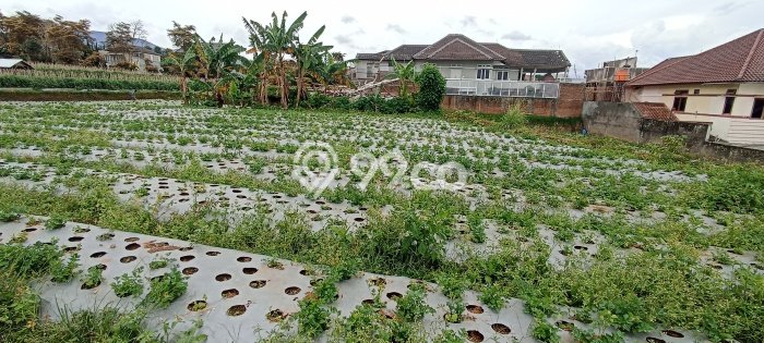 Tanah Kavling Dijual di Bandung dengan Spesifikasi 2440m2 Tanah Kavling Dijual di Bandung dengan Spesifikasi 2440m2