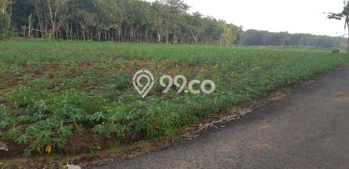 Tanah Area Potensial di Menggala, Luas 3274m2m², Lingkungan Nyaman, Akses Menggala, Tulang Bawang, Tulang Bawang Tanah Area Potensial di Menggala, Luas 3274m2m², Lingkungan Nyaman, Akses Menggala, Tulang Bawang, Tulang Bawang