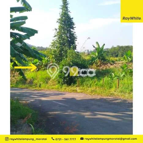 Tanah Dijual Lokasi Tanjung Karang Barat, Bandar Lampung dengan Luas Tanah 5044m2 dan Status SHM Tanah Dijual Lokasi Tanjung Karang Barat, Bandar Lampung dengan Luas Tanah 5044m2 dan Status SHM