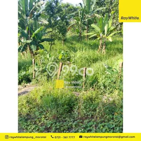 Tanah Dijual Lokasi Tanjung Karang Barat, Bandar Lampung dengan Luas Tanah 5044m2 dan Status SHM Tanah Dijual Lokasi Tanjung Karang Barat, Bandar Lampung dengan Luas Tanah 5044m2 dan Status SHM
