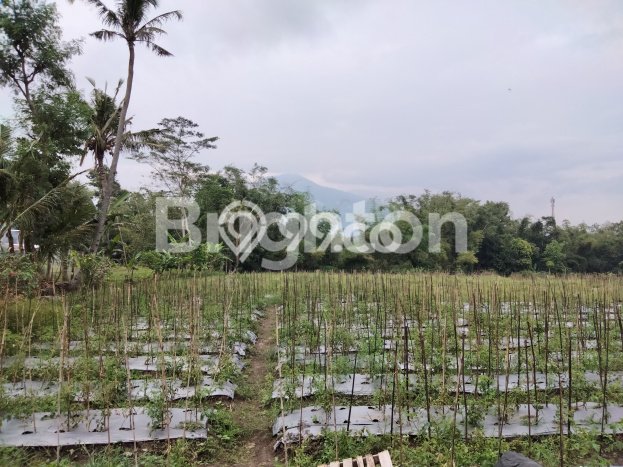 Untuk Dijual Tanah di Junrejo Batu Luas 8714m2 SHM Untuk Dijual Tanah di Junrejo Batu Luas 8714m2 SHM