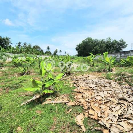Tanah di Tegineneng, Luas 56420m2m², Kawasan Bisnis Tanah di Tegineneng, Luas 56420m2m², Kawasan Bisnis
