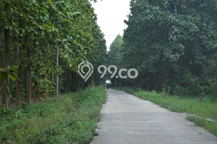 Tanah Bisnis di Natar, Luas 769150m2m², Lokasi Strategis Tanah Bisnis di Natar, Luas 769150m2m², Lokasi Strategis