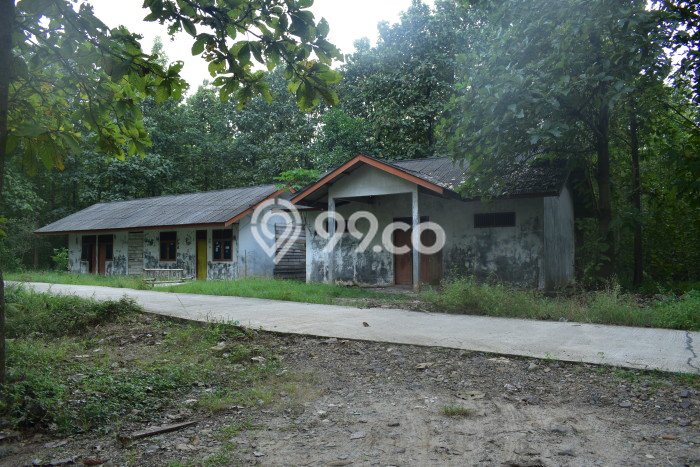 Tanah Bisnis di Natar, Luas 769150m2m², Lokasi Strategis Tanah Bisnis di Natar, Luas 769150m2m², Lokasi Strategis