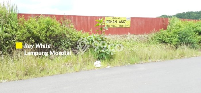 Tanah Area Strategis Kawasan Padang Cermin, Luas 100000m2m², Ideal untuk Bisnis Tanah Area Strategis Kawasan Padang Cermin, Luas 100000m2m², Ideal untuk Bisnis